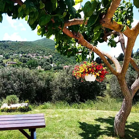 Lily Home_lefkada ~ Private * Kondaraíni